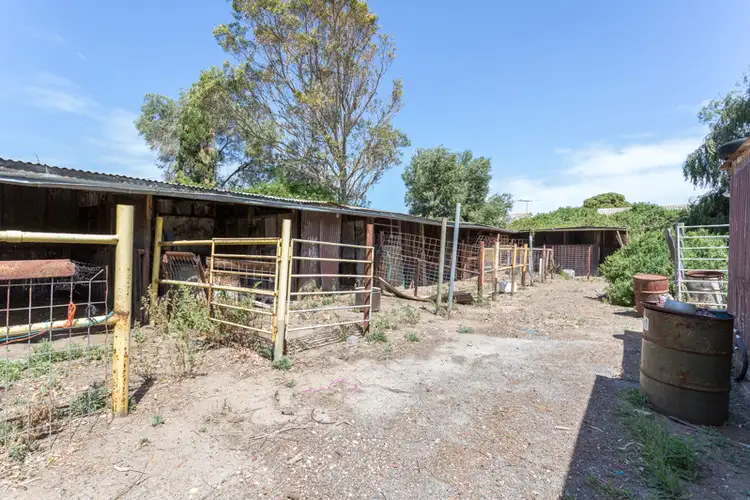 Fifth view of Homely house listing, 12 Minna Terrace, Semaphore Park SA 5019