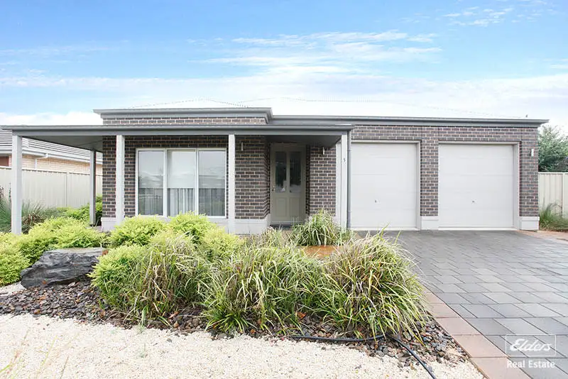 Main view of Homely house listing, 5 Roche Street, Freeling SA 5372