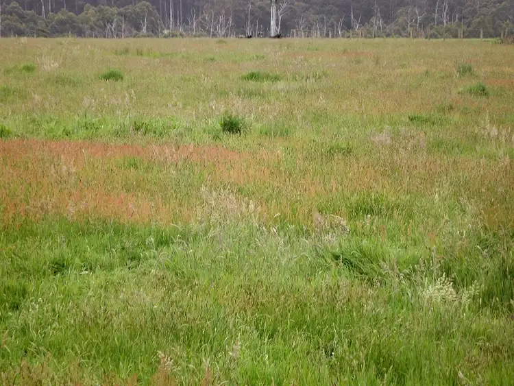 Second view of Homely rural property listing, 76 Duggans Road, Orbost VIC 3888