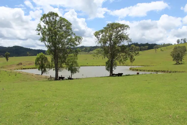 Fourth view of Homely rural property listing, - Salisbury Road, Dungog NSW 2420