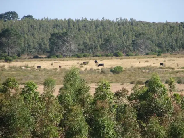 Main view of Homely rural property listing, Address available on request