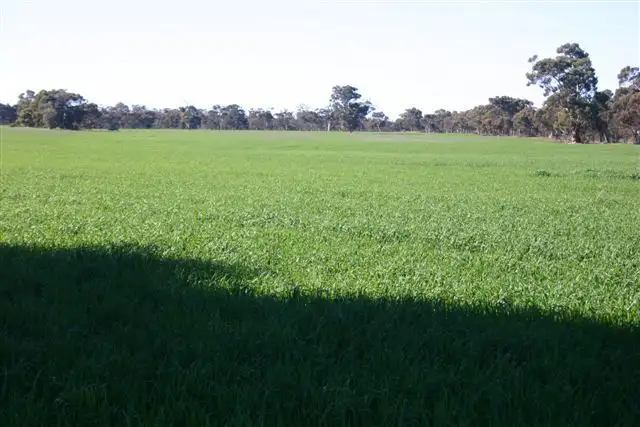 Fifth view of Homely rural property listing, 23843 Popanyinning West Road, Popanyinning WA 6309