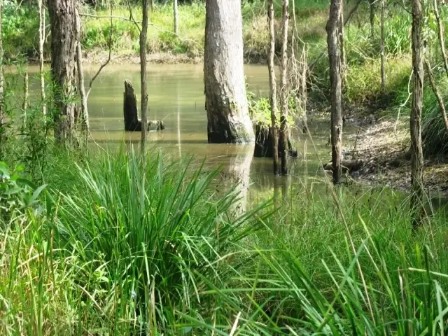 Third view of Homely rural property listing, 21 Denham Court, Mothar Mountain QLD 4570