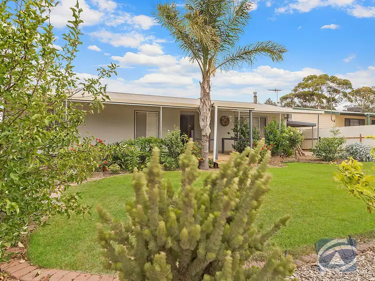 Main view of Homely house listing, 29 Derby Street, Freeling SA 5372