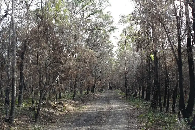 Third view of Homely land listing, Lot 1 Arthur Highway, Murdunna TAS 7178
