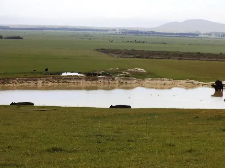 Third view of Homely rural property listing, 1271 Memana Road, Memana, Flinders Island TAS 7255