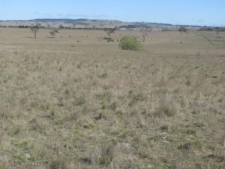 Second view of Homely rural property listing, 380 Elliots road, Armidale NSW 2350