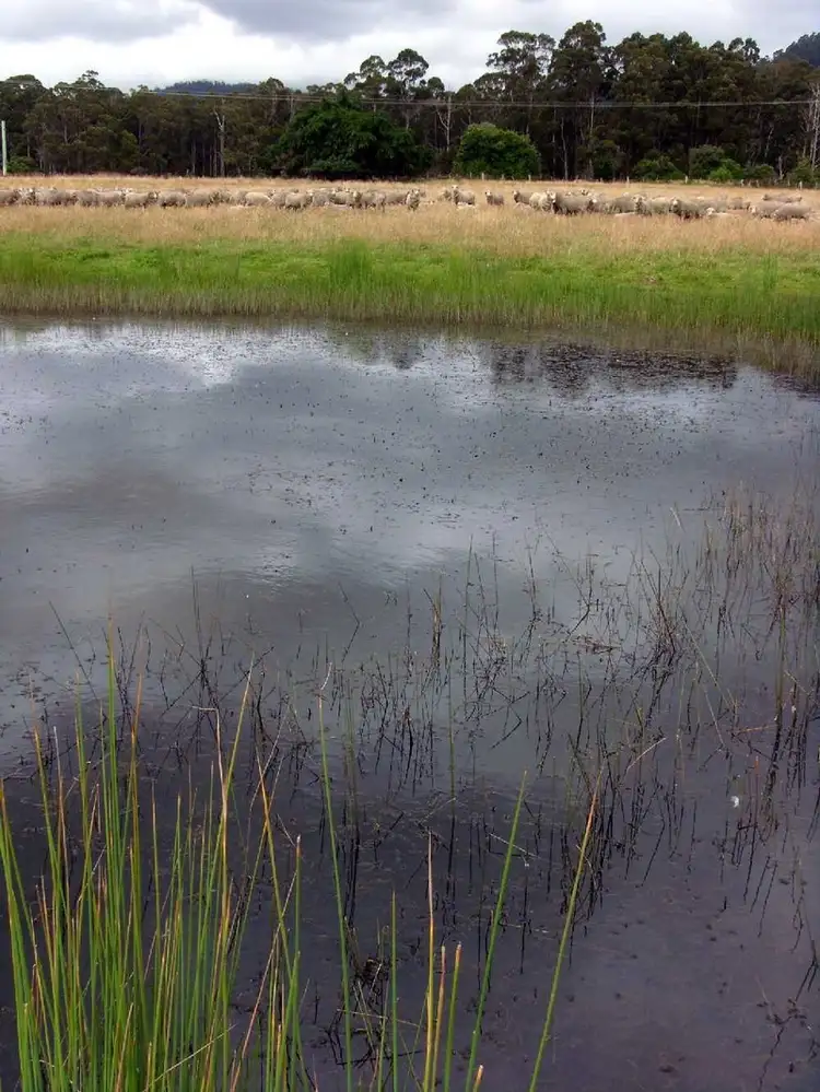 Fifth view of Homely rural property listing, 111485/1 Nubeena Road, Koonya TAS 7187