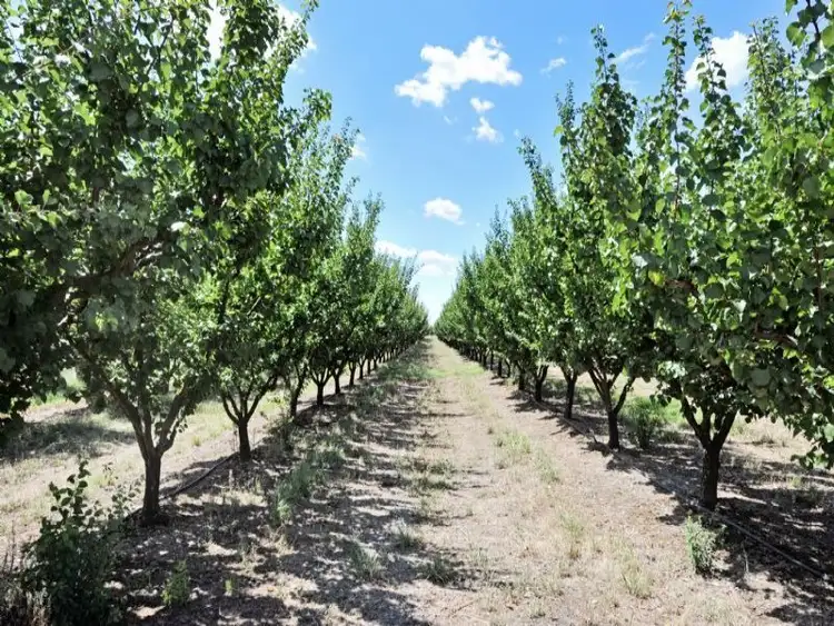 Third view of Homely rural property listing, 230 Orrvale Road, Shepparton East VIC 3631