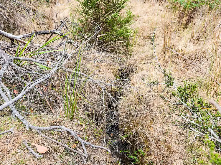 Sixth view of Homely rural property listing, 79 Marriotts Road, Ellendale TAS 7140
