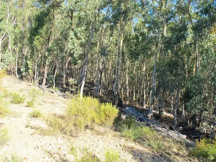 Sixth view of Homely rural property listing, 71 Perke Road, Mudgee NSW 2850