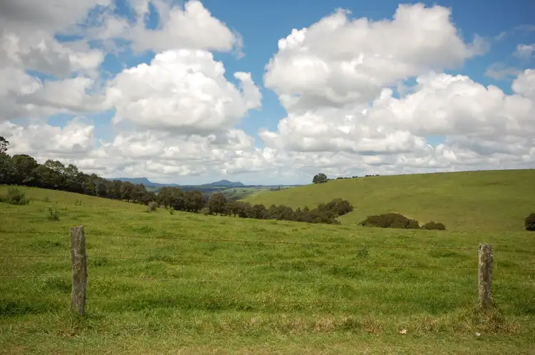 Fifth view of Homely rural property listing, 5043 Waterfall Way, Dorrigo NSW 2453