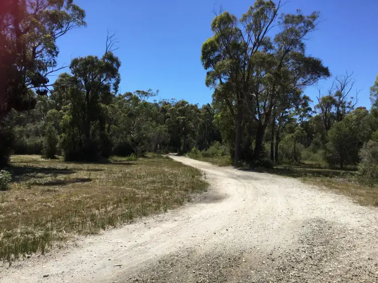 Sixth view of Homely land listing, 383 Badger Head Rd, Badger Head TAS 7270