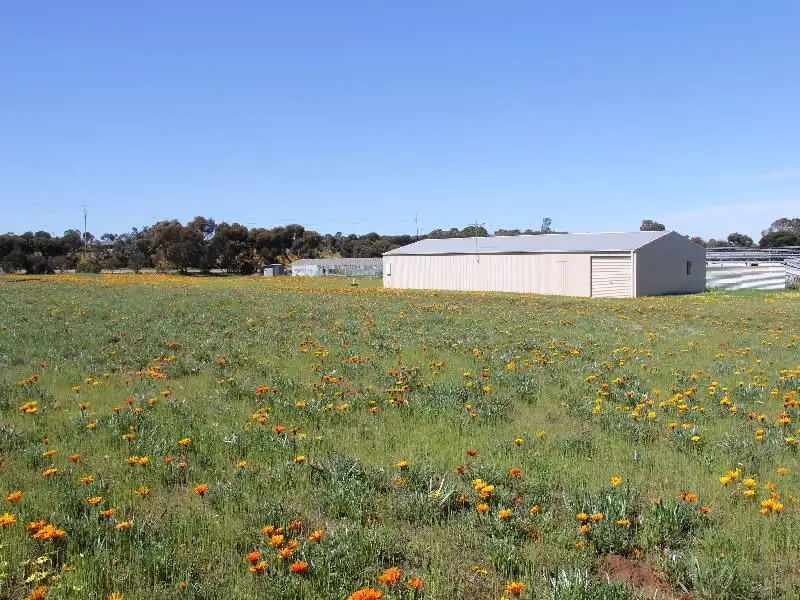 Main view of Homely house listing, 81 Tooma Road, Murray Bridge SA 5253
