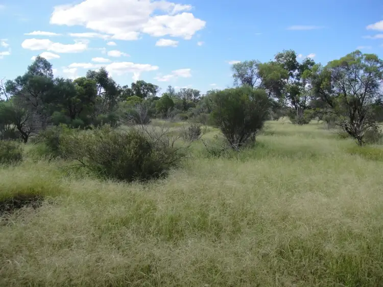 Fourth view of Homely rural property listing, " Cudgee ", Quilpie QLD 4480