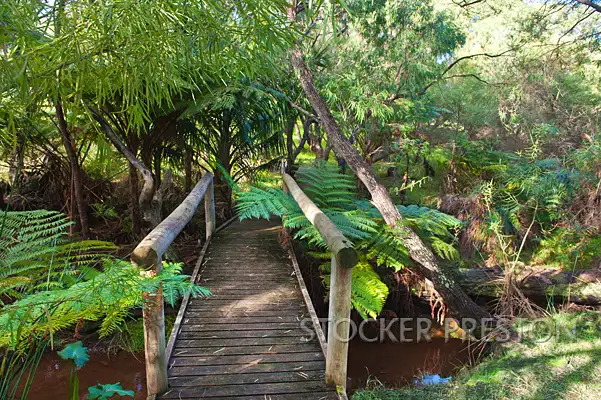 Fifth view of Homely house listing, 15 Annie Lysle Place, Yallingup WA 6282