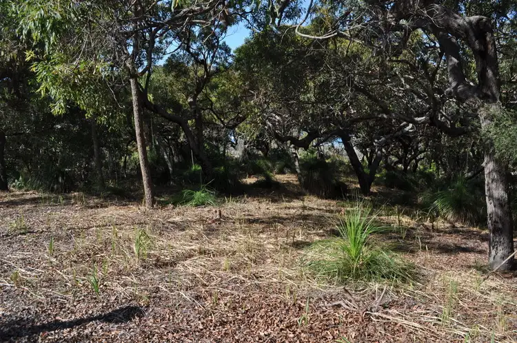 Sixth view of Homely land listing, Lot 157 Osprey Drive, Agnes Water QLD 4677