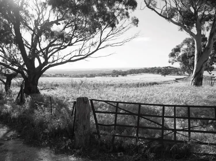 Third view of Homely land listing, Lot 14 Hunt Place, Gawler South SA 5118