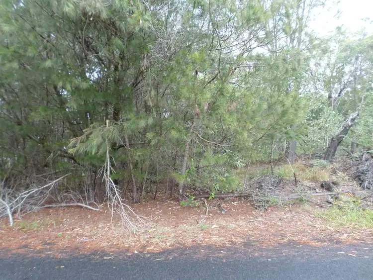 20 BARACOOTA STREET, Macleay Island QLD 4184