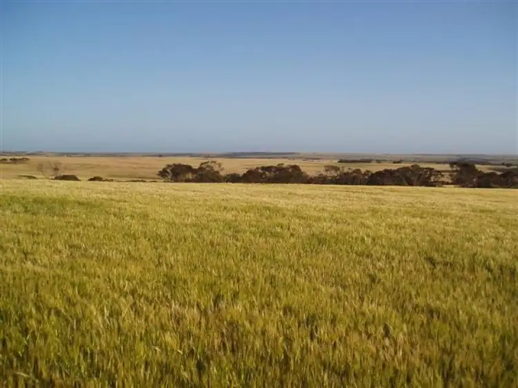 Third view of Homely rural property listing, 1150 Maringarup Road, Gairdner WA 6337