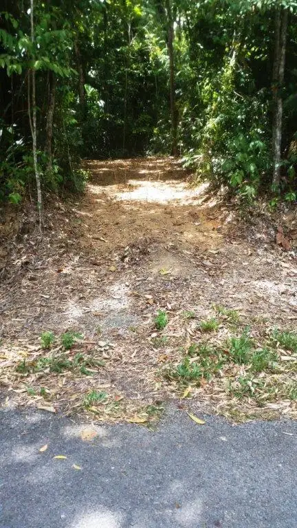 Third view of Homely land listing, 8 Buchanan Creek Rd, Daintree QLD 4873