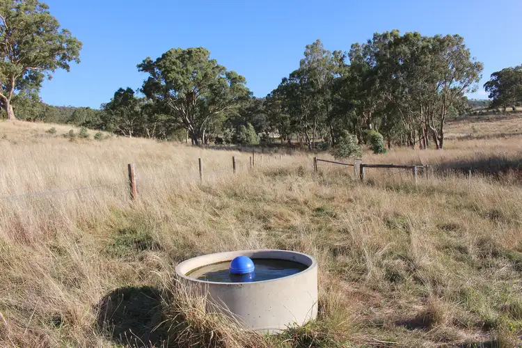 Fifth view of Homely rural property listing, 516 Burford's Hill Road, Mount Torrens SA 5244