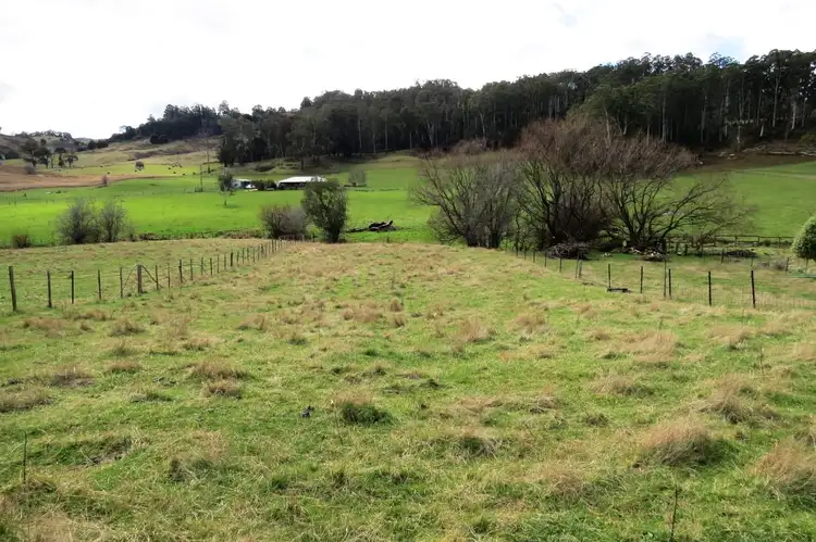 Fourth view of Homely house listing, 34 Pioneer Drive, Mole Creek TAS 7304