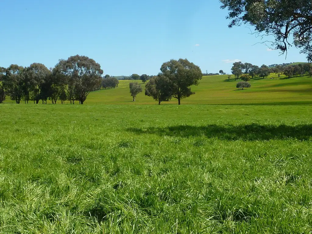 Main view of Homely rural property listing, 65 Vincents Road Ladysmith, Wagga Wagga NSW 2650