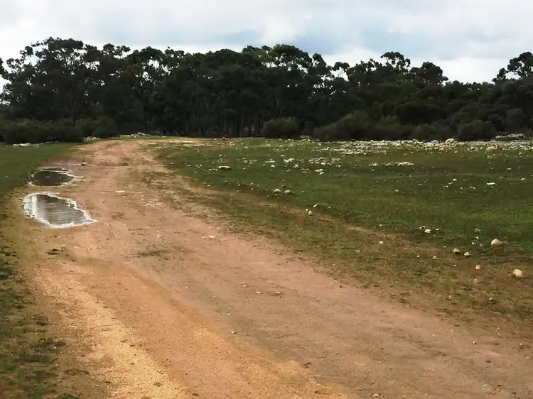 Sixth view of Homely rural property listing, 2212 Kappawanta Road, Elliston SA 5670