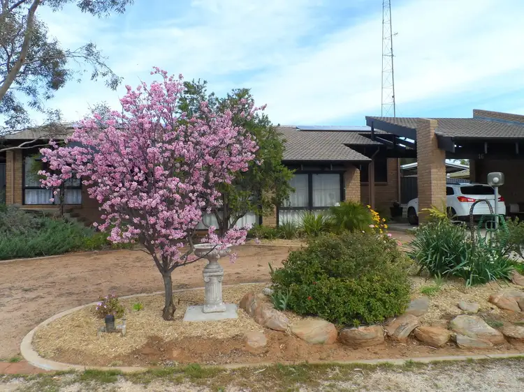 Main view of Homely house listing, 16 Thiele Avenue, Loxton SA 5333