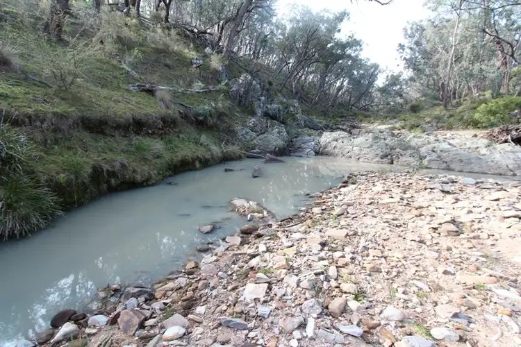 Seventh view of Homely rural property listing, 205 Wylchris Lane, Mount Rankin NSW 2795