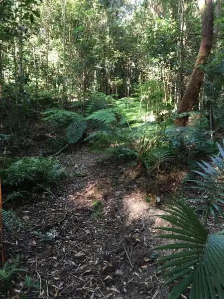 Sixth view of Homely land listing, 1943 Springbrook Road, Springbrook QLD 4213