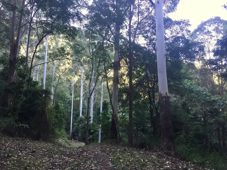 Second view of Homely rural property listing, 397 Lindsay Road, Larnook NSW 2480