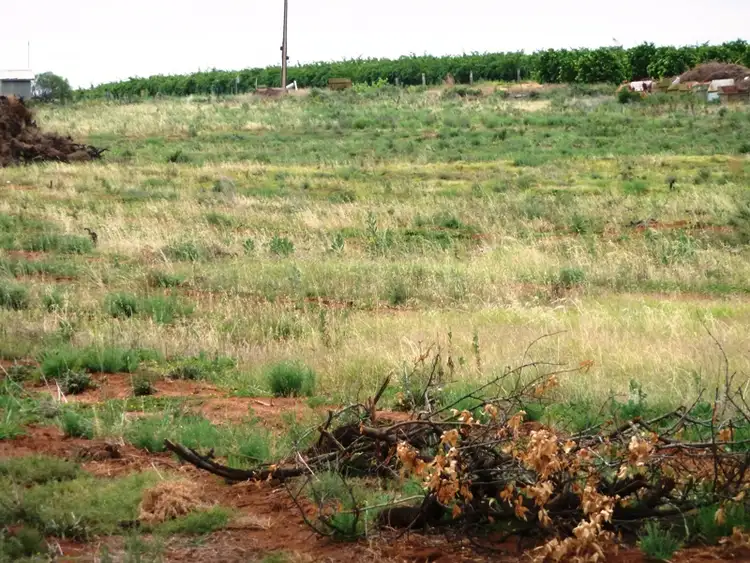 Sixth view of Homely land listing, 2 Bookpurnong Road, Loxton SA 5333