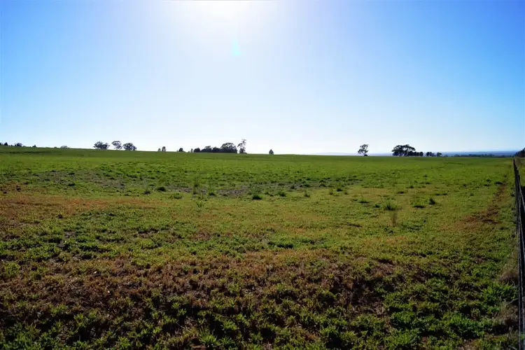 Fifth view of Homely rural property listing, Duraba 314 Pine Cliff Road, Gunnedah NSW 2380