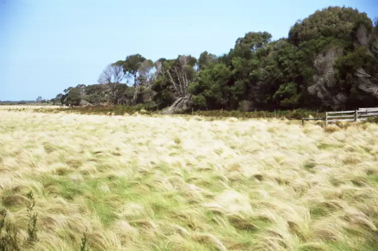 Second view of Homely land listing, . Lime Pit Road, Flinders Island TAS 7255
