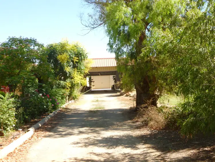 Seventh view of Homely house listing, 124 Ayr Street, Jamestown SA 5491