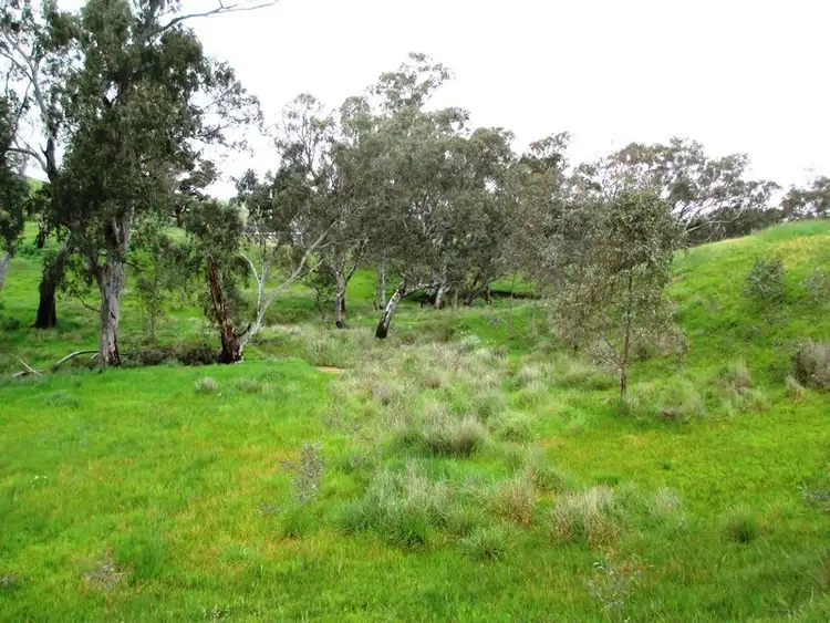 Fourth view of Homely rural property listing, 122 Parsons Road, Alexandra VIC 3714