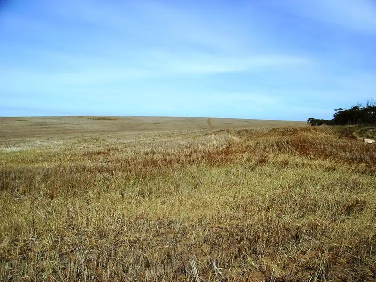 Second view of Homely rural property listing, Section 425 KIANDRA ROAD, Lipson SA 5607