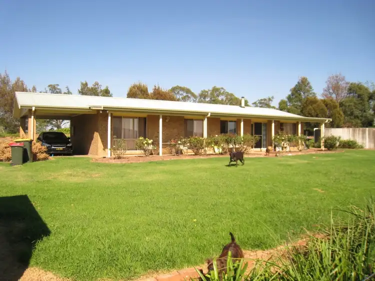 Third view of Homely rural property listing, 348 Wandella Rd, Cobargo NSW 2550
