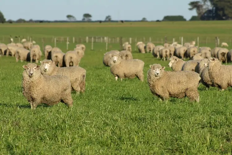 Fifth view of Homely rural property listing, Address available on request