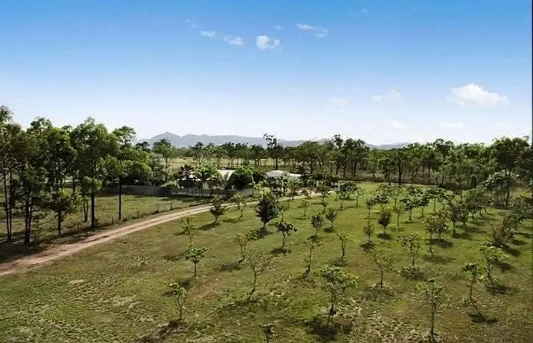Third view of Homely rural property listing, 28 Black River Road, Black River QLD 4818
