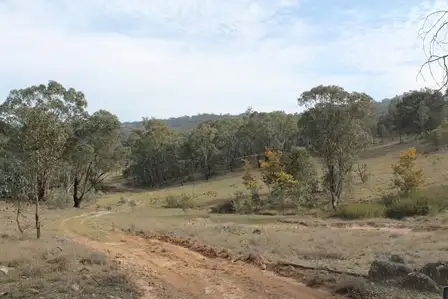 Sixth view of Homely rural property listing, 1972 Triamble Road, Mudgee NSW 2850