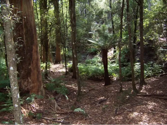 Fifth view of Homely rural property listing, - Paloona Road, Paloona TAS 7310