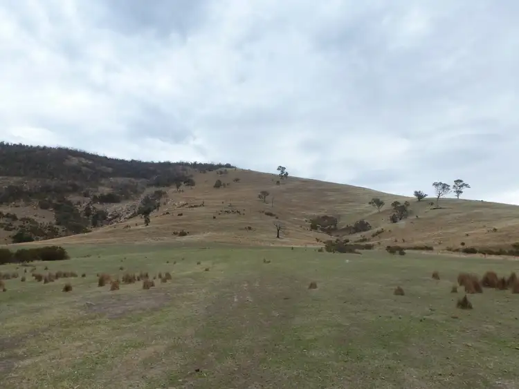 Seventh view of Homely rural property listing, 0 Government Road, Elmhurst VIC 3469