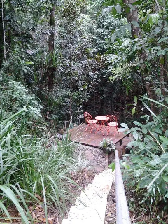 Sixth view of Homely rural property listing, 6 Red Gum Road, Daintree QLD 4873