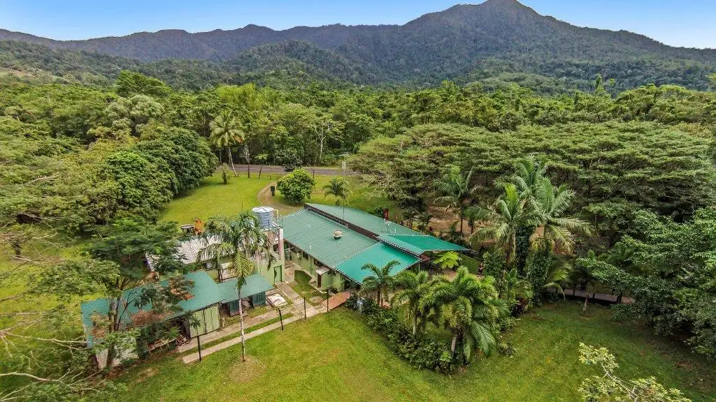 Main view of Homely house listing, 80 Cape Tribulation Road, Daintree QLD 4873