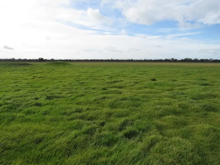 "Nocoleigh" Lower River Road, Deniliquin NSW 2710