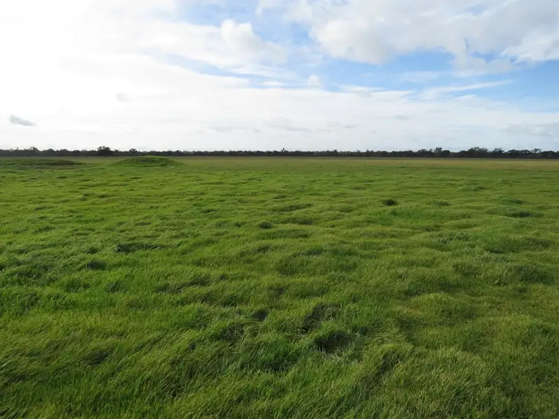 Main view of Homely rural property listing, "Nocoleigh" Lower River Road, Deniliquin NSW 2710