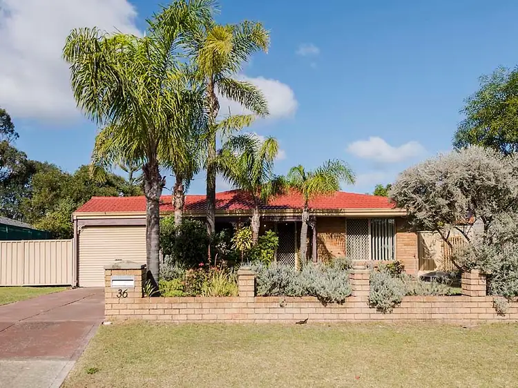 Main view of Homely house listing, 36 Kingsbridge Road, Warnbro WA 6169